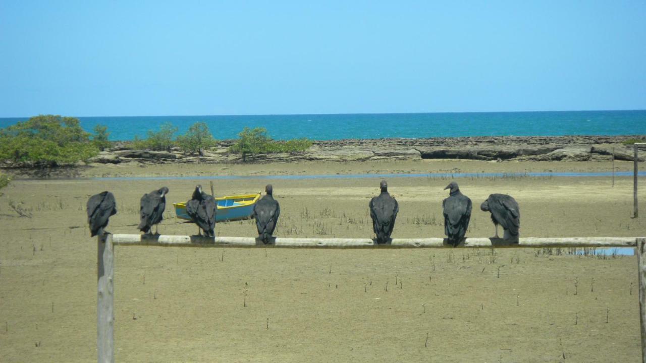 Residencial Praia Dos Corais Coroa Vermelha Exteriér fotografie